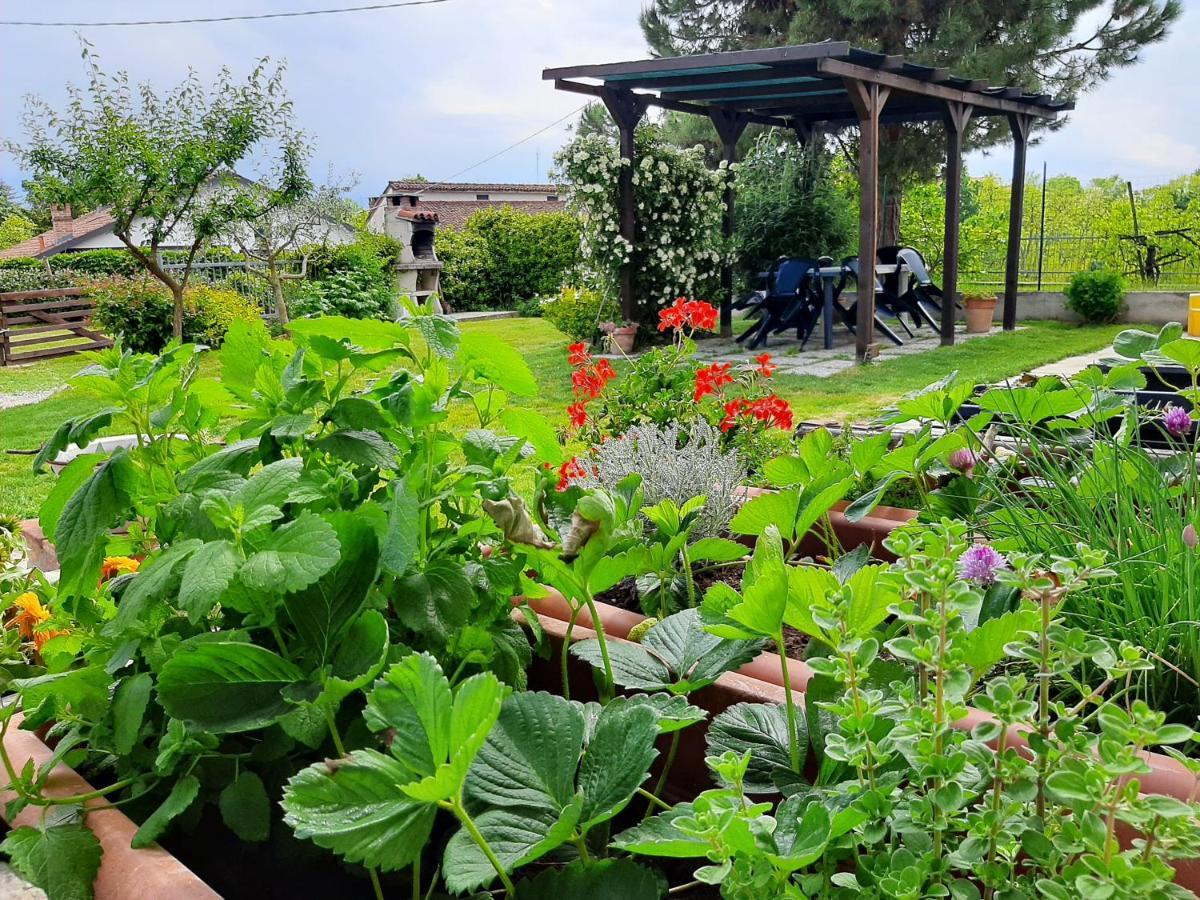 Villa Cascina Teresina Monferrato Piscina Cortazzone Exterior foto